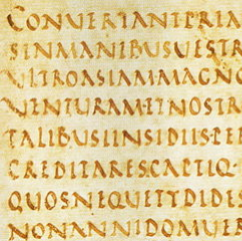 Latin Beginner I - Intensive