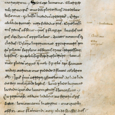 Latin Lower Intermediate I - Term Time Class